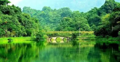 Bộ NNMT muốn tiếp tục quản lý 4 vườn quốc gia Cúc Phương, Tam Đảo, Bạch Mã, Yok Đôn