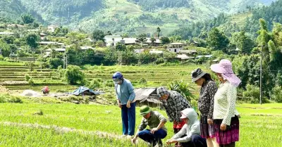 Bộ tiêu chí nông thôn mới Thanh Hóa giai đoạn 2026-2030: 100% phủ sóng viễn thông