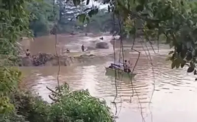Bé trai 7 tuổi bị cá sấu tấn công tử vong ở Indonesia