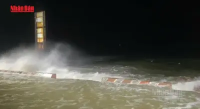 Biến đổi khí hậu và El Nino khiến bão mạnh, bất thường gia tăng cuối mùa