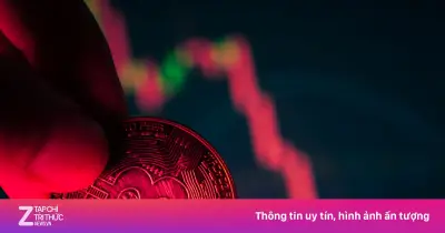 Bitcoin mất 50% giá trị vì dòng vốn chuyển sang AI và cổ phiếu công nghệ