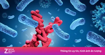 Bệnh X là gì? Khái niệm mầm bệnh chưa biết có nguy cơ gây đại dịch