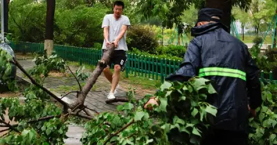 Bão Bavi quét miền đông Trung Quốc, hơn 2,8 triệu người sơ tán