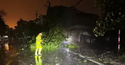 Bão số 1 Maysak đổ bộ Móng Cái, gió rít liên hồi, mưa trắng trời