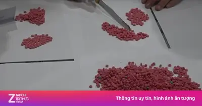 Bắt quả tang vụ vận chuyển 3.200 viên ma túy hồng phiến qua biên giới Nghệ An