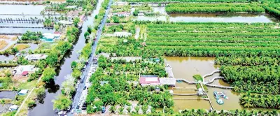 Cà Mau: Cán bộ gạo cội xin nghỉ, mở đường cho người trẻ ở cơ sở