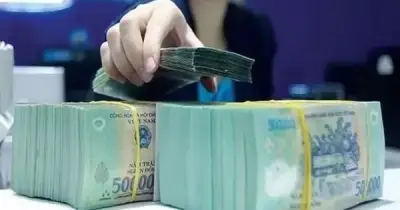 Cổ đông ngân hàng nhận nghìn tỷ cổ tức tiền mặt: MB, LPBank, Techcombank chi lớn