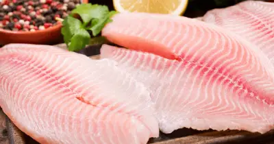 Cá rô phi Việt Nam lên bàn sushi Nhật Bản, xuất khẩu tăng 101%