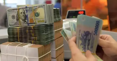Cục Thuế ra tối hậu thư xử lý doanh nghiệp ngừng hoạt động chưa đóng mã số thuế