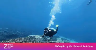 Chủ tịch Lý Sơn lặn biển giám sát rạn san hô, phát hiện dấu hiệu phục hồi tích cực