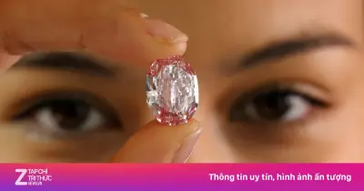 Chuỗi giá trị kim cương tự nhiên: Từ khai thác đến tay người tiêu dùng