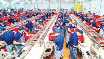 Chuyển động mới tại các khu công nghiệp An Giang: Khởi công Vàm Cống