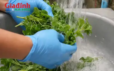 Cải xoong giá rẻ nhưng giàu dinh dưỡng, được CDC Mỹ xếp hạng rau lành mạnh nhất thế giới