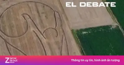 Clip chúc mừng ĐT Argentina vô địch World Cup gây sốt ở Italy