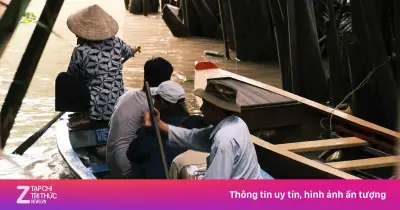 Cồn Thới Sơn: Điểm đến miền Tây 'gây sốt' nhờ xuồng ba lá và đờn ca tài tử