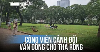 Công viên Cảnh Đồi vẫn đông chó thả rông, không rọ mõm: Lãnh đạo phường nói gì?