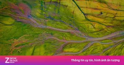 Cảnh 'mạch máu' đáy hồ Trị An mùa nước cạn giữa tháng 6