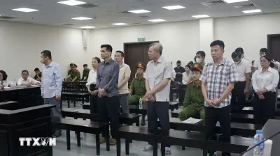 Cựu Chủ tịch Công ty Nam Triệu bị phạt 29 năm tù