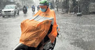 Dự báo thời tiết miền Nam 12/7: Chiều tối mưa dông rải rác, TP.HCM có mưa to