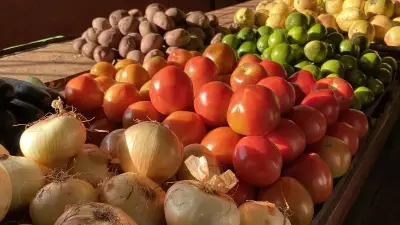 Dự án bữa ăn học đường mới tại Cuba hỗ trợ hơn 12.600 trẻ em
