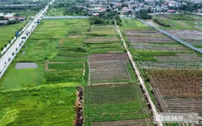 Dự thảo luật quy định 9 trường hợp không được bồi thường về đất