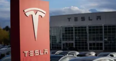 Dòng tiền Tesla âm lần đầu sau 2 năm vì chi tiêu AI khổng lồ