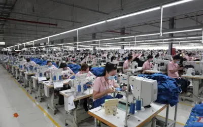 Dệt may Thành Công lợi nhuận giảm 32% dù doanh thu tăng nhẹ