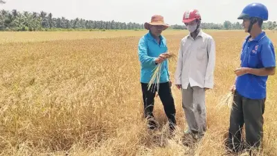 El Nino quay lại, cảnh báo hạn hán và xâm nhập mặn diện rộng đến năm 2027