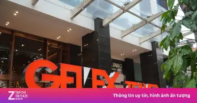 Gelex cải chính mục đích sử dụng vốn 14 lô trái phiếu tổng trị giá 4.150 tỷ đồng
