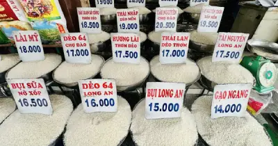 Giá gạo Việt Nam tăng dù Philippines ngừng nhập: Lý do từ nguồn cung và nhu cầu châu Phi