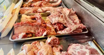 Giá heo hơi hôm nay 16/7/2026: Tiếp tục tăng tại miền Bắc và miền Trung