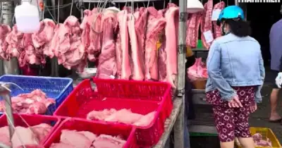 Giá heo hơi hôm nay 17.7.2026: Tạm ngừng đà tăng, đi ngang trên cả nước