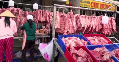 Giá heo hơi hôm nay 20/7: Miền Nam tăng, cả nước bình quân 64.200 đồng/kg
