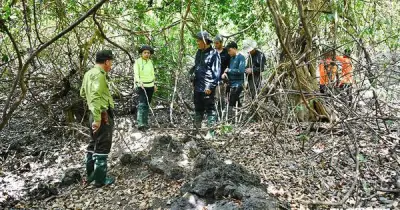 Giữ rừng thời công nghệ: Những bóng hồng Katien ở Cát Tiên