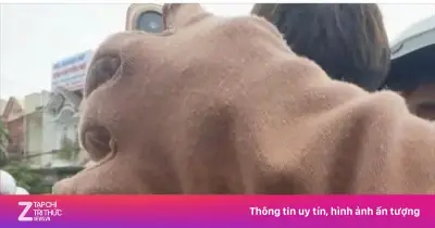 Gia Lai xác minh clip CSGT truy đuổi, đánh người vi phạm giao thông