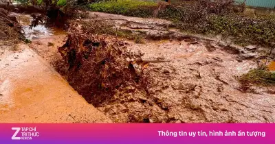 Giếng khoan ở Gia Lai phun trào khí và nước sau tiếng động lớn từ lòng đất