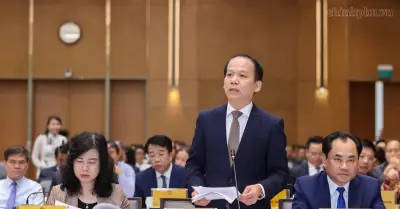 Giấy phép con nấp bóng dưới dạng bổ sung hồ sơ giấy tờ