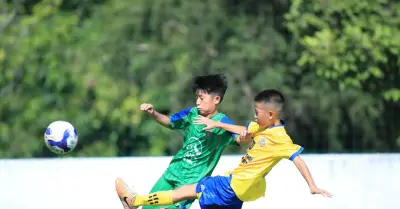 Gần 1.000 cầu thủ nhí tranh tài tại Football Festival Việt Nam 2026