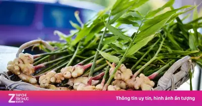 Gừng, củ mài, hẹ: 3 thực phẩm mùa hè bổ thận, tốt sinh lý, nhẹ bụng