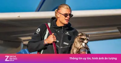 Haaland khiến gấu mèo say xỉn 'cháy hàng' ở Mỹ