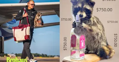 Haaland mua gấu mèo 19 triệu: Kiểu mua sắm chỉ đàn ông hiểu
