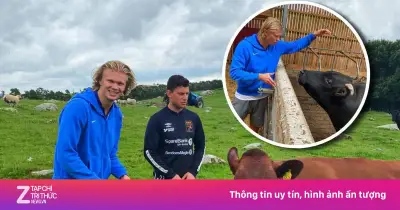 Haaland muốn làm nông dân sau khi giải nghệ, gây sốt World Cup 2026