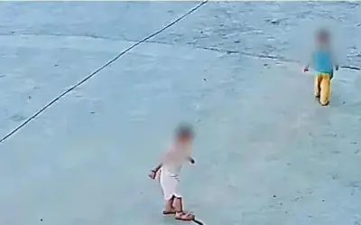 Hai trẻ em vô tình giẫm lên rắn hổ mang ở Vân Nam