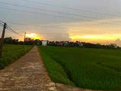 Hơn 1 tháng gửi con về quê, nàng dâu bất ngờ nhận về đứa trẻ hoàn toàn khác