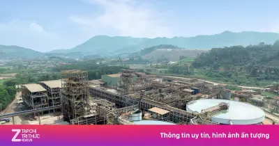 Hàn Quốc lần đầu đưa quặng vonfram về Việt Nam nhờ hợp tác với Masan