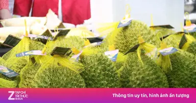 Hàn Quốc tăng nhập sầu riêng Việt Nam hơn 129% trong nửa đầu năm 2026
