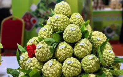 Hàng chục đặc sản, sản phẩm OCOP Lạng Sơn đến tay người dân Hà Nội