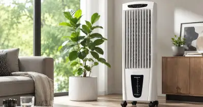 Hướng dẫn sử dụng quạt hơi nước an toàn, hiệu quả, không lo ẩm mốc