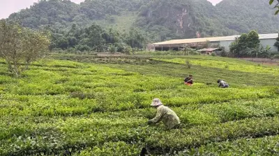 Hàng nghìn hợp tác xã nông nghiệp giúp nông dân chuyển đổi số và nâng cao giá trị