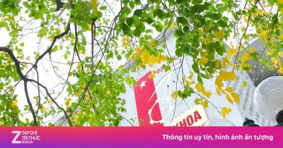 Đại học Bách khoa Hà Nội dự báo điểm chuẩn 2026 từ 20 đến trên 28,5